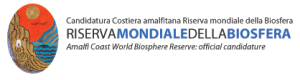 costiera amilfitana logo