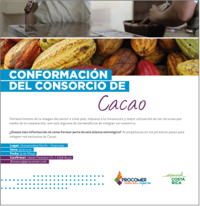 9-05-2018-consorcio-de-cacao-del-cr